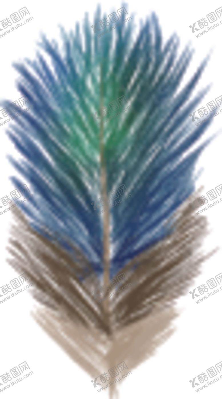 编号：81030410301751269965【酷图网】源文件下载-羽毛