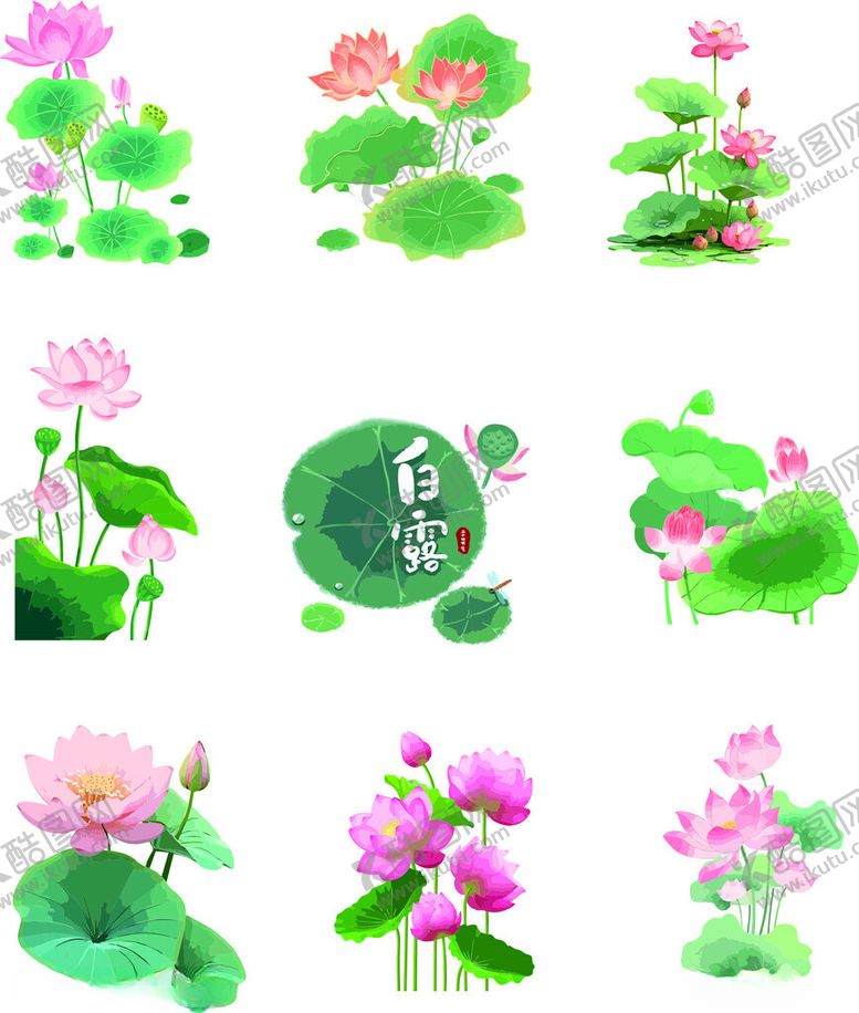 编号：58404802200952087748【酷图网】源文件下载-荷花