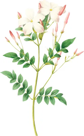 手绘花草植物素材图片