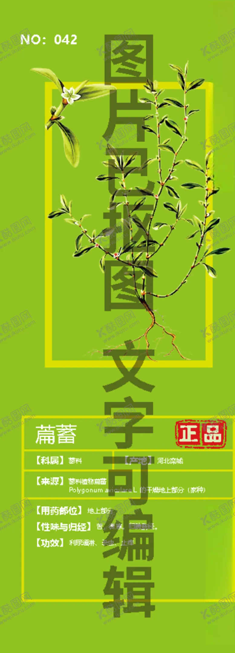 编号：67196204131050546056【酷图网】源文件下载-萹蓄