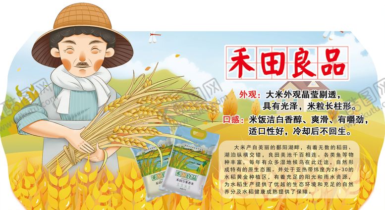编号：49128610050002328304【酷图网】源文件下载-大米介绍