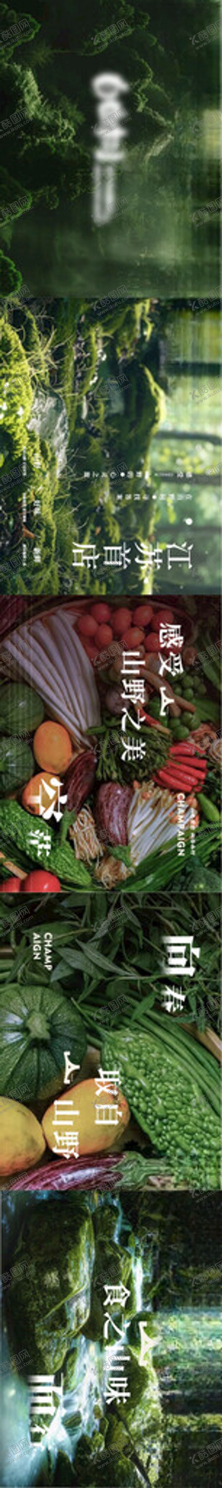 编号：36065104072121433594【酷图网】源文件下载-山野风味