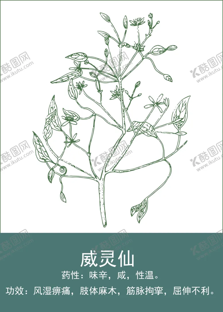 编号：85437501140916132250【酷图网】源文件下载-中药手绘插画