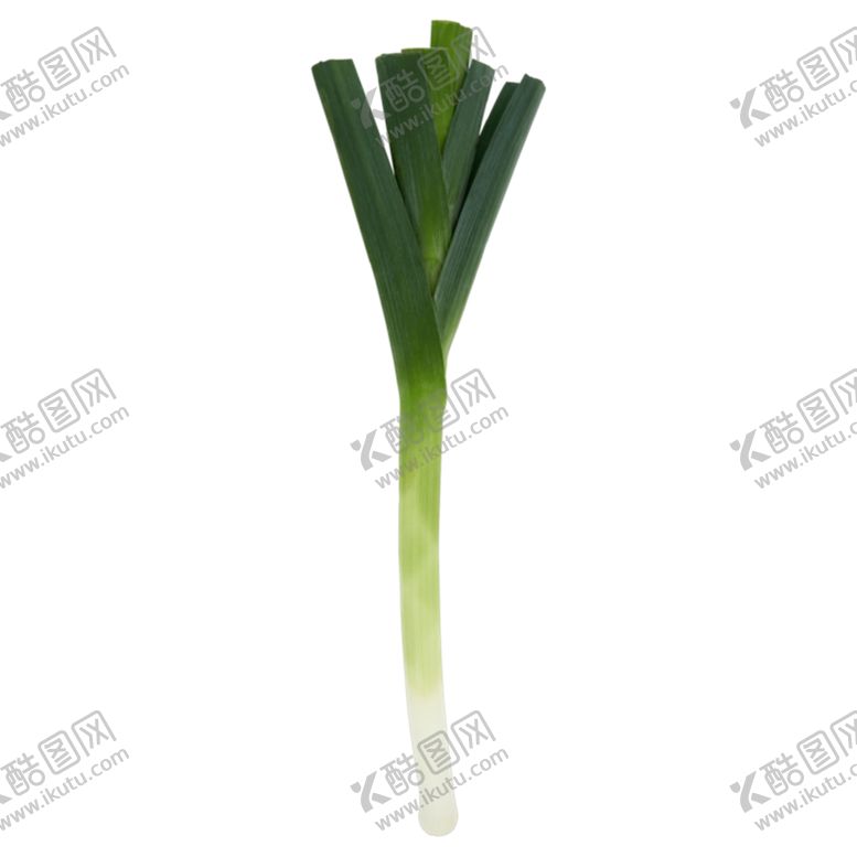 编号：33517409290017107995【酷图网】源文件下载-大葱