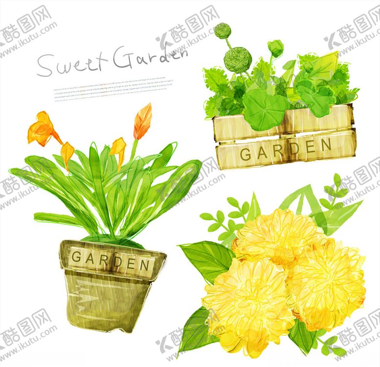 编号：81711510031545366889【酷图网】源文件下载-手绘水彩花盆绿植