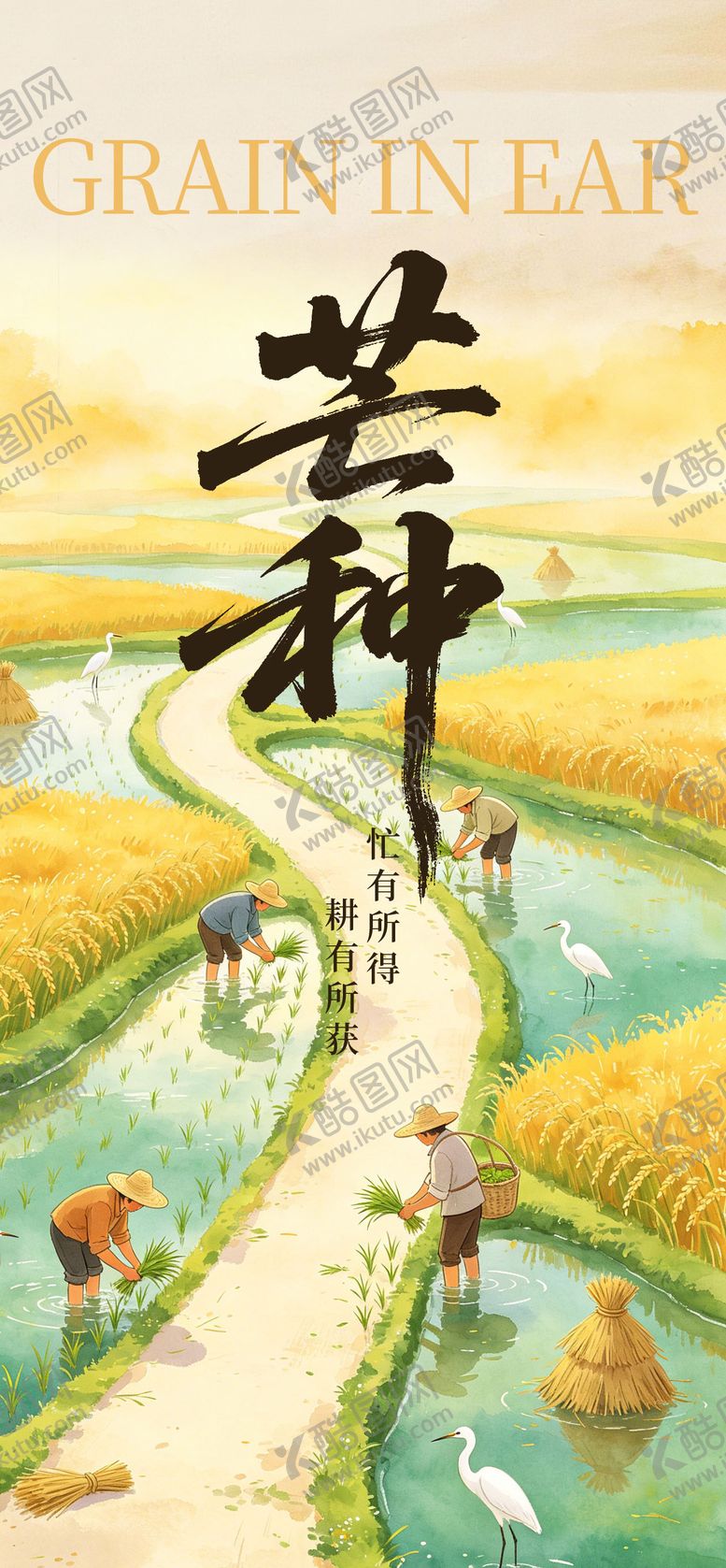 编号：51801706022337548531【酷图网】源文件下载-芒种二十四节气营销借势宣传海报