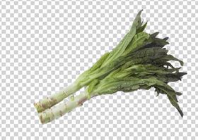 莴笋莴苣