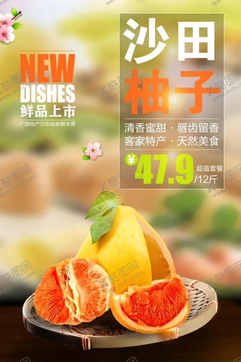 编号：46528307021251426393【酷图网】源文件下载-沙田清新红心柚子特产海报