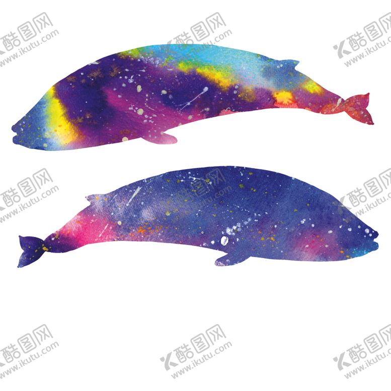 编号：54761409170427176243【酷图网】源文件下载-炫彩渐变鲸鱼图案