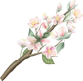 花卉背景欧式墙浪漫浪漫草沙发