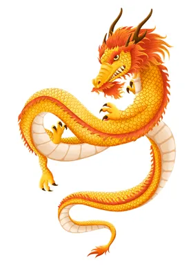 龙