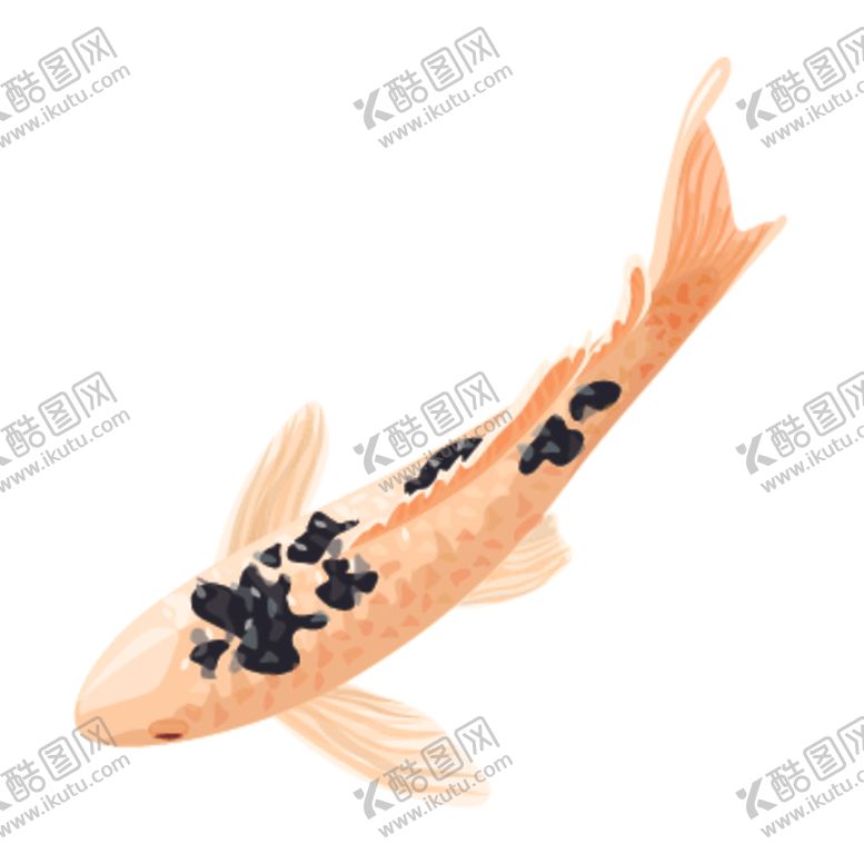 编号：73046506260330489311【酷图网】源文件下载-鲤鱼插画图案