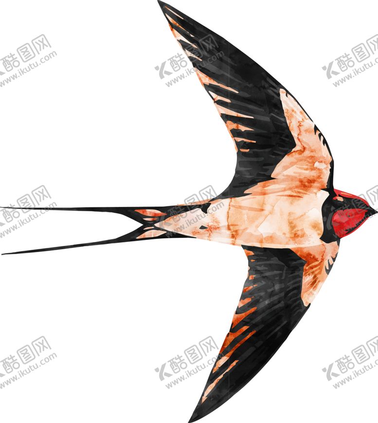 编号：49058110192043178116【酷图网】源文件下载-燕子素材