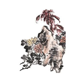 国画菊花