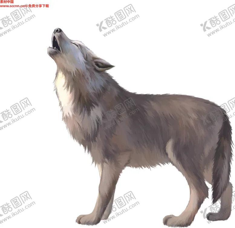 编号：58488310131224453581【酷图网】源文件下载-狼矢量素材