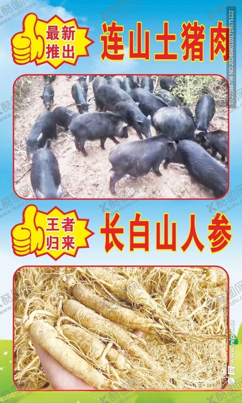 编号：53871802071935323058【酷图网】源文件下载-连山土猪海报