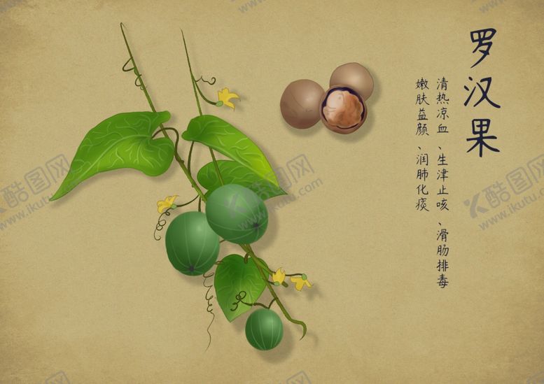 编号：27001102260313209409【酷图网】源文件下载-药材图谱