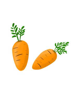 花生玉米胡萝卜蔬菜矢量图