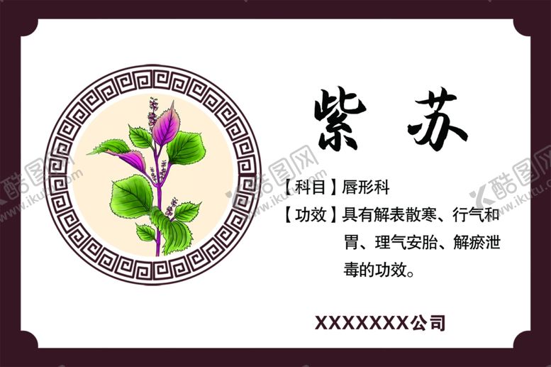 编号：95743405061310184427【酷图网】源文件下载-紫苏功效紫苏药效