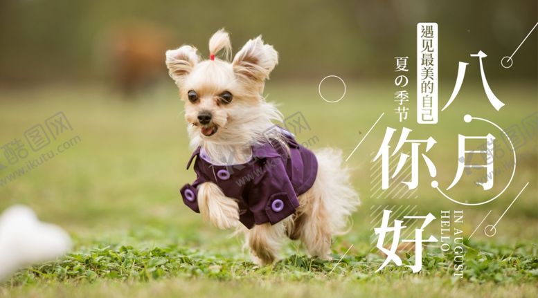 编号：43346910121633073392【酷图网】源文件下载-八月