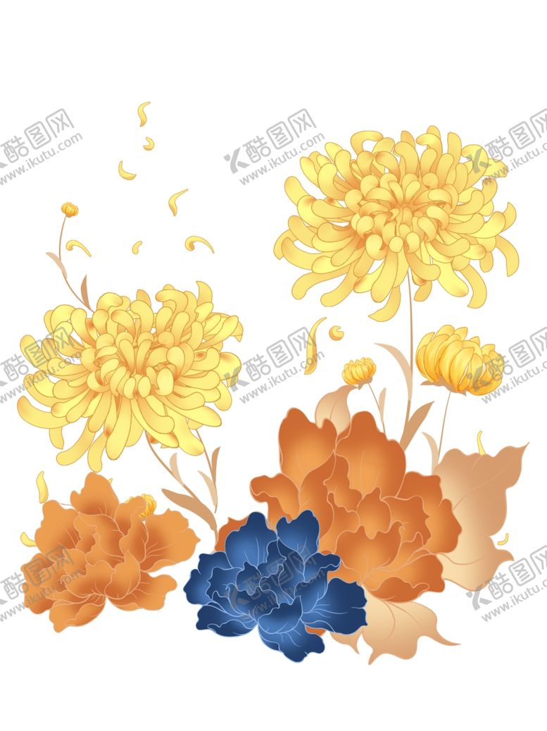 编号：37700312080649229464【酷图网】源文件下载-菊花