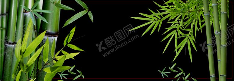 编号：65217009300539500297【酷图网】源文件下载-竹子