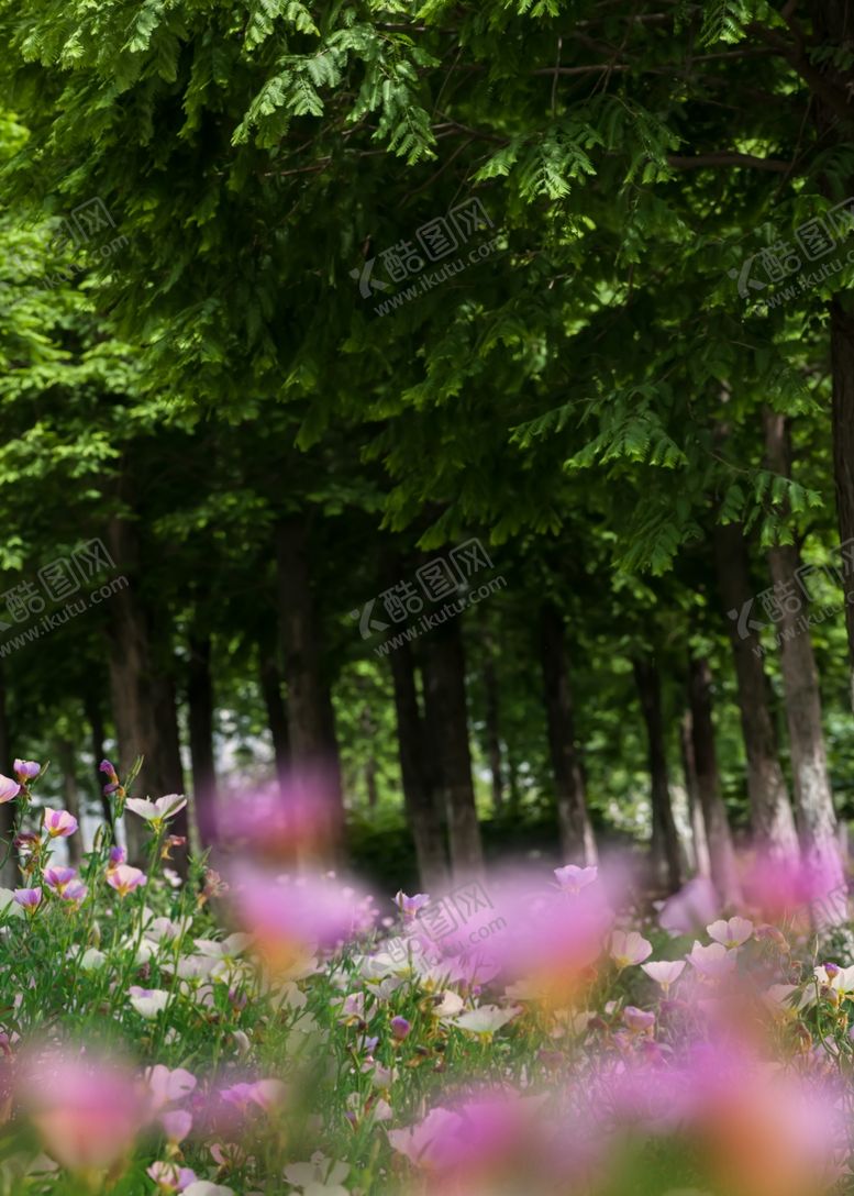 编号：71884409141550583307【酷图网】源文件下载-风景