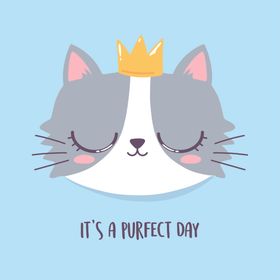 手绘淡彩猫