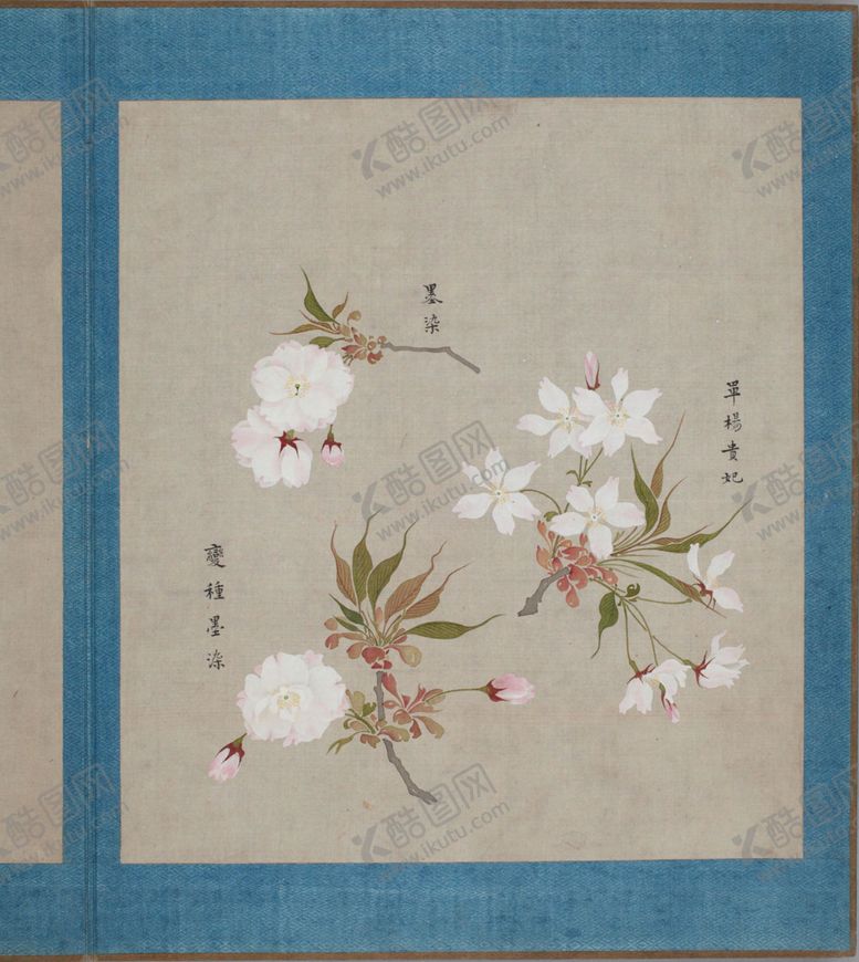 编号：91798604102054393715【酷图网】源文件下载-樱花