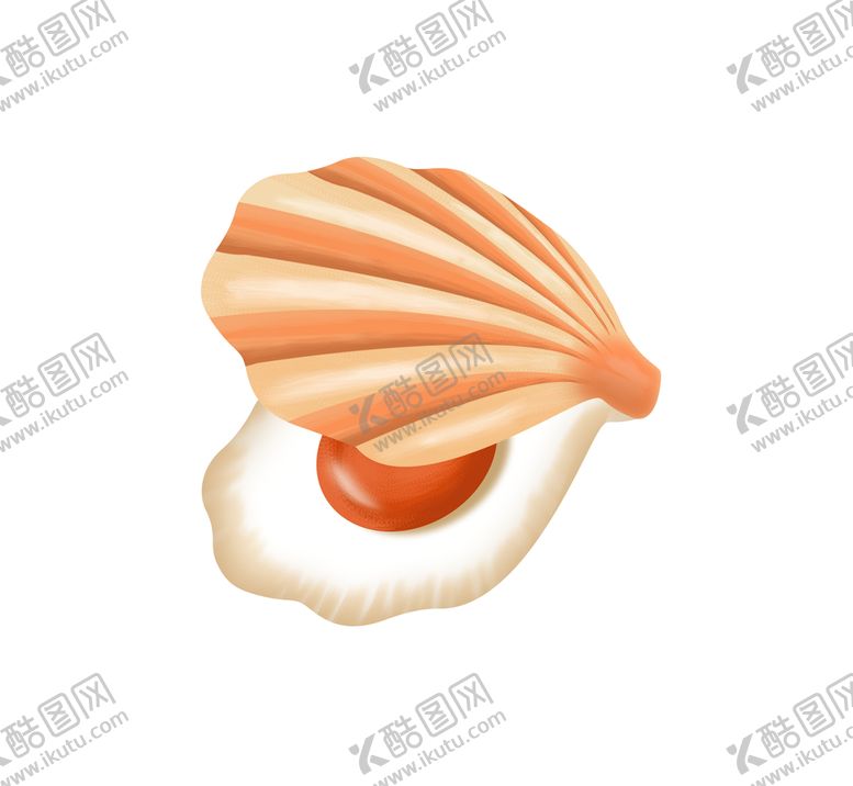 编号：93151610161221509368【酷图网】源文件下载-卡通贝壳