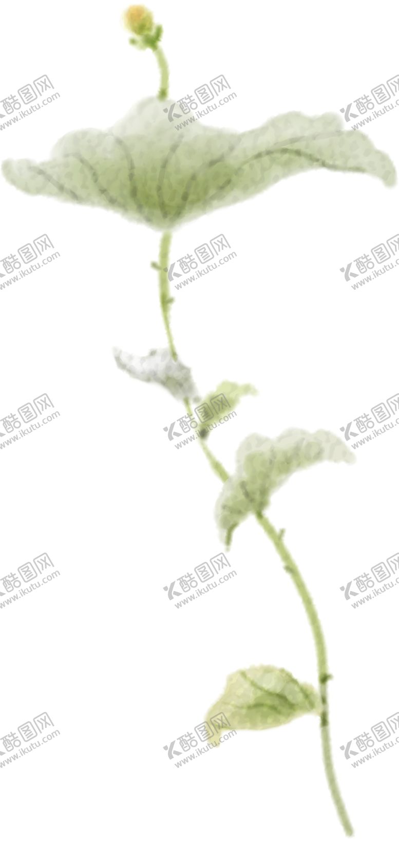 编号：93248107040108201409【酷图网】源文件下载-绿色植物