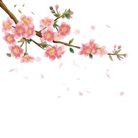 红色花瓣花纹