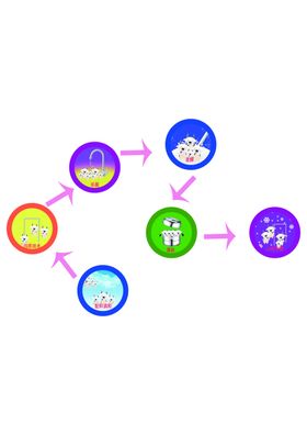 種子加工流程圖