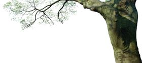 天空挂角树