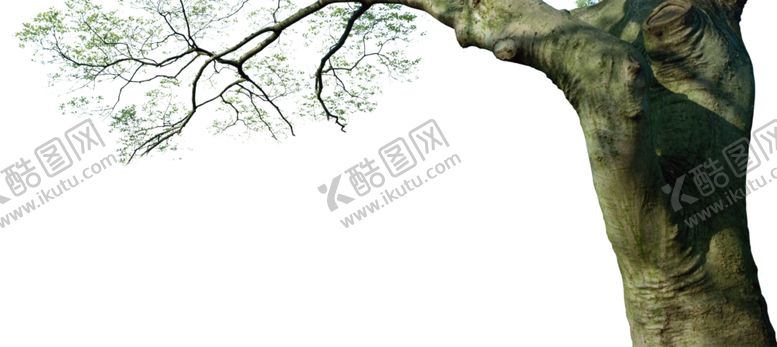 编号：87195210252054162255【酷图网】源文件下载-天空挂角树