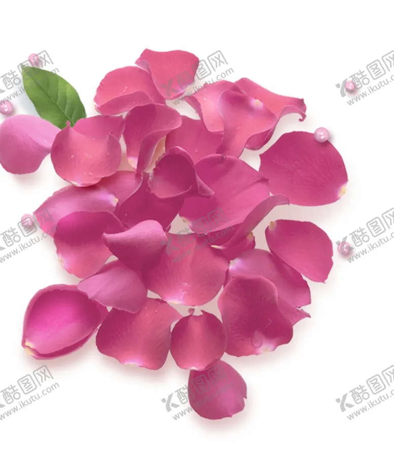编号：63126404142113477101【酷图网】源文件下载-粉红花瓣