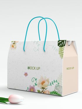 纸袋包装样机服装手提袋贴图