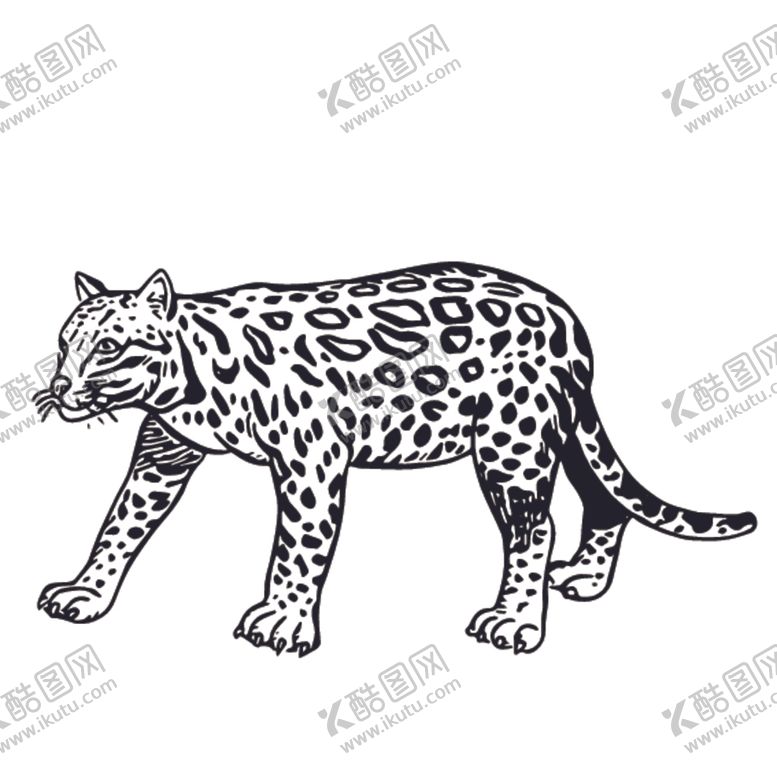 编号：30699607121000509193【酷图网】源文件下载-豹子插画图案