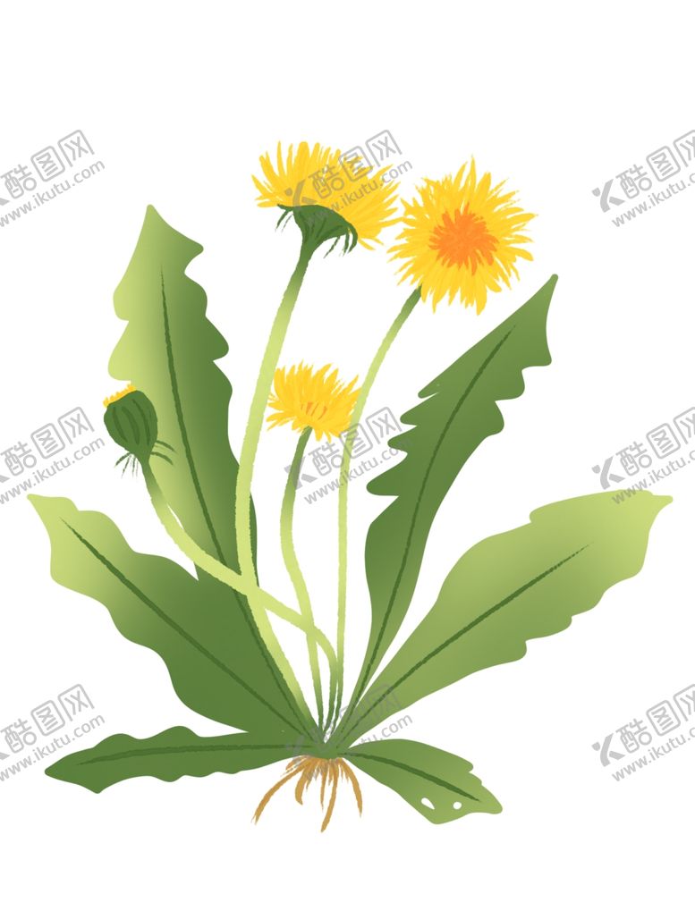 编号：99827502080620546802【酷图网】源文件下载-花草植物