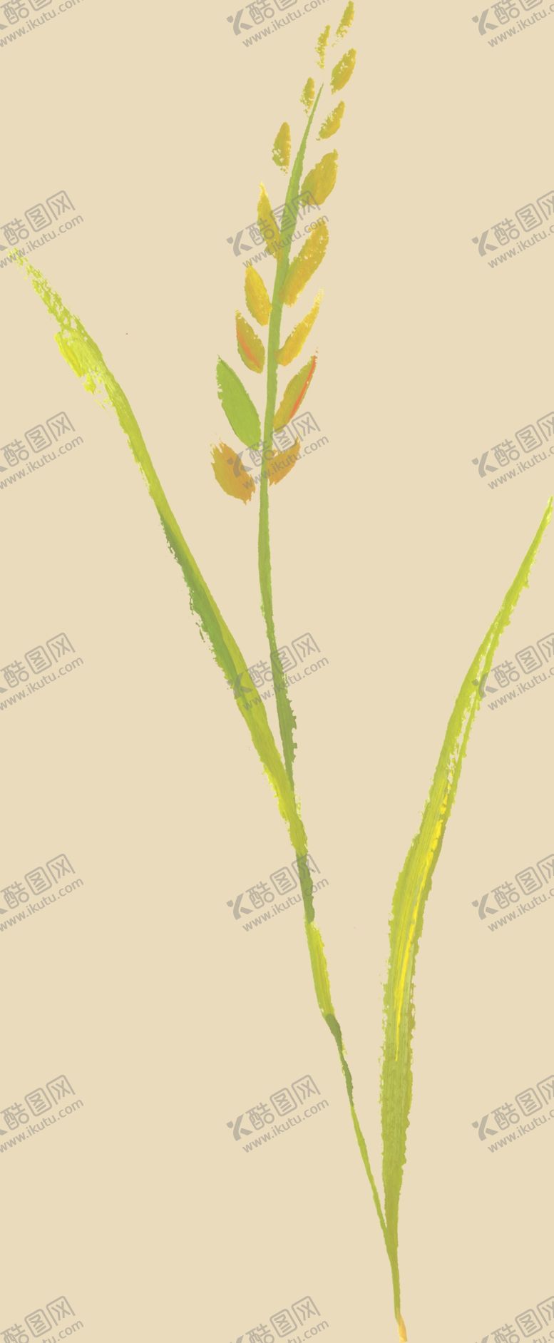 编号：44676210060327107026【酷图网】源文件下载-花枝