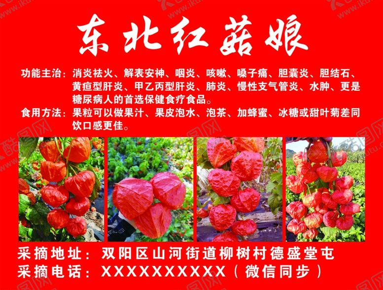 编号：59924301251834346660【酷图网】源文件下载-红菇娘