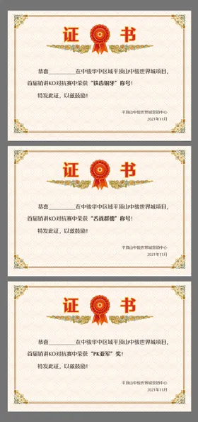 证书荣誉聘奖状