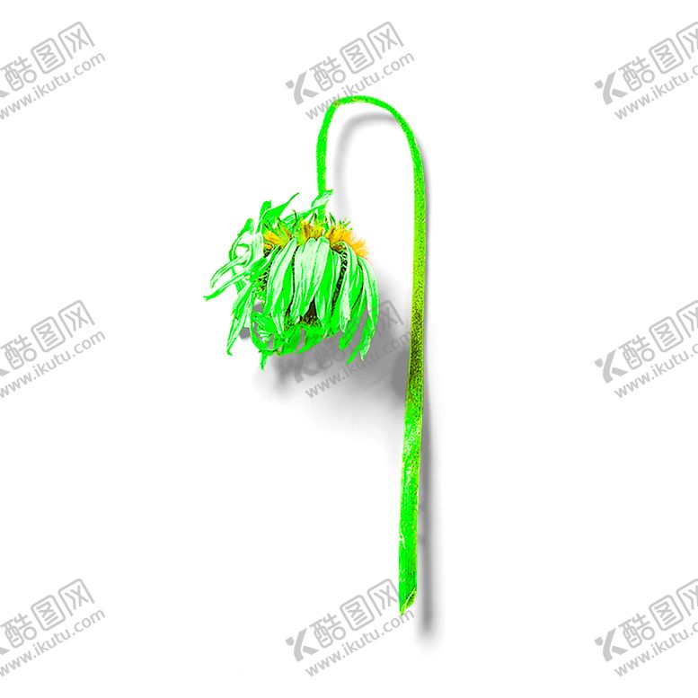编号：10300006232354451480【酷图网】源文件下载-花素材