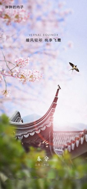 春日古建旁的烂漫樱花