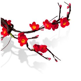 梅花png素材
