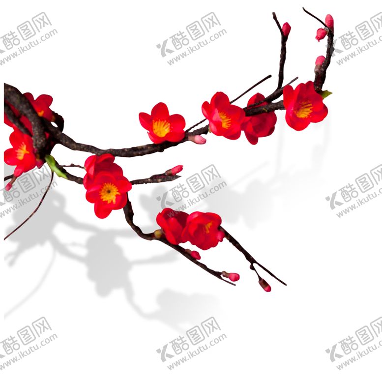 编号：54965207091940218804【酷图网】源文件下载-梅花png