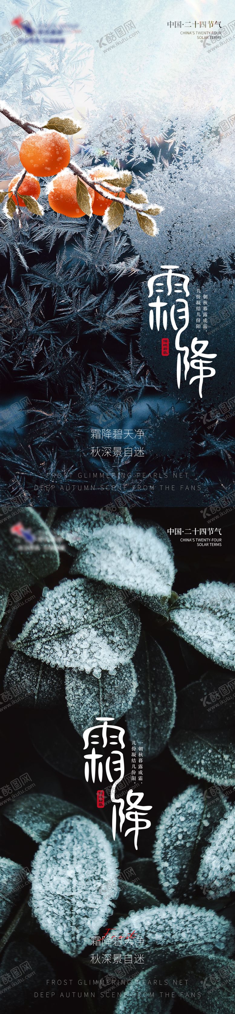 编号：43046312042246517009【酷图网】源文件下载-霜降节气系列海报