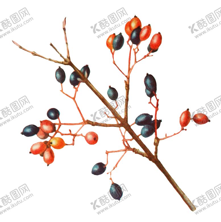 编号：47783801140343344783【酷图网】源文件下载-复古插画