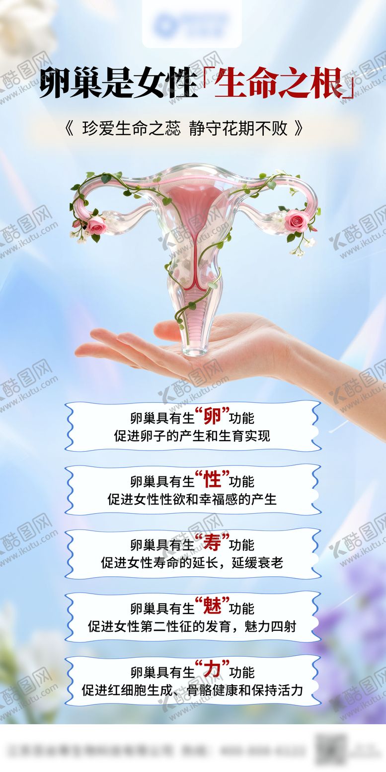 编号：62345810272242094090【酷图网】源文件下载-卵巢是女性生命之根