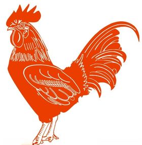 公鸡